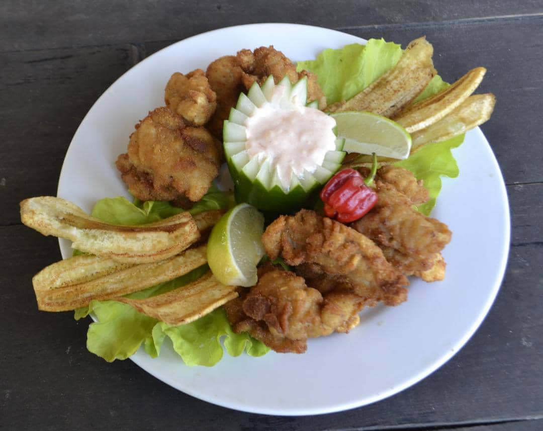 Al Campestre Fajitas de pollo (100 g) + Viandas fritas Envío a